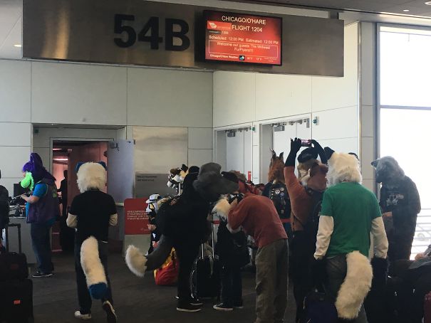 Apparently Booked A Business Trip On A Furry Flight. I’m The Only Non-Furry