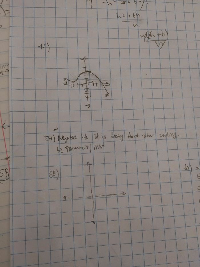My Friend Doesn't Use The Grid Lines On His Graph Paper To Draw His Graphs