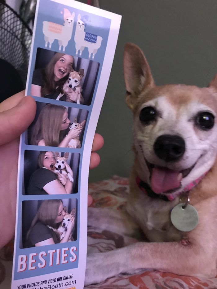 Snuck My Dog Into The Photo Booth At The Mall To Get These Done For Her 16th Birthday! Happy Birthday, Taco!