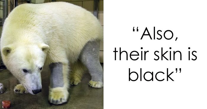Zoo Employee Reveals 16 Most Interesting Animal Facts She Learned At Her  Job And We Can't Get Enough | Bored Panda