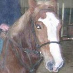 john_brown_nurseries avatar