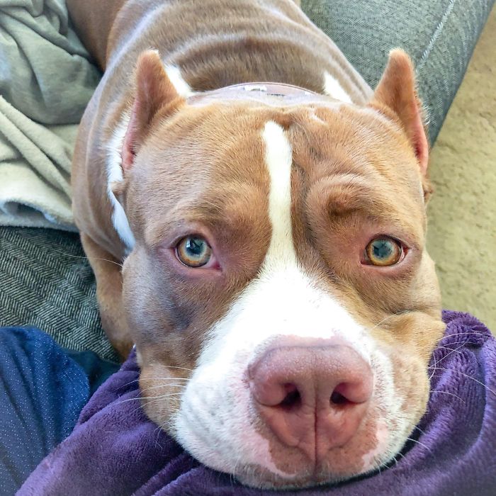 That Look You Get When You’re Not Sharing Food But Should Be