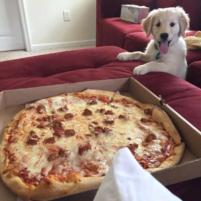 My Nephew Wants Pizza