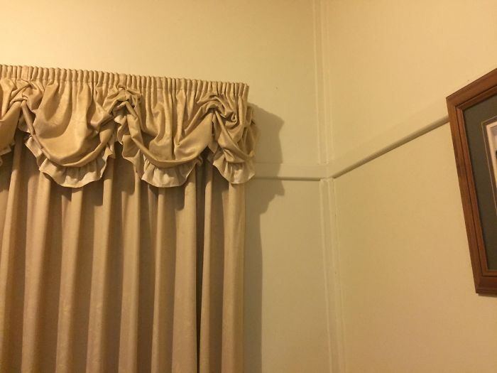 The Shadow My Curtains Cast Is The Senate