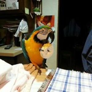 marleneleonard97 avatar