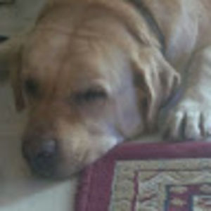 kathryngeorge avatar