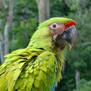 nicholasroddy avatar