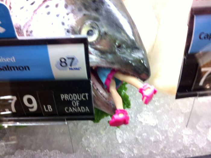Encontrado en la pescadería del supermercado