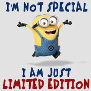 ainayatphoolka avatar