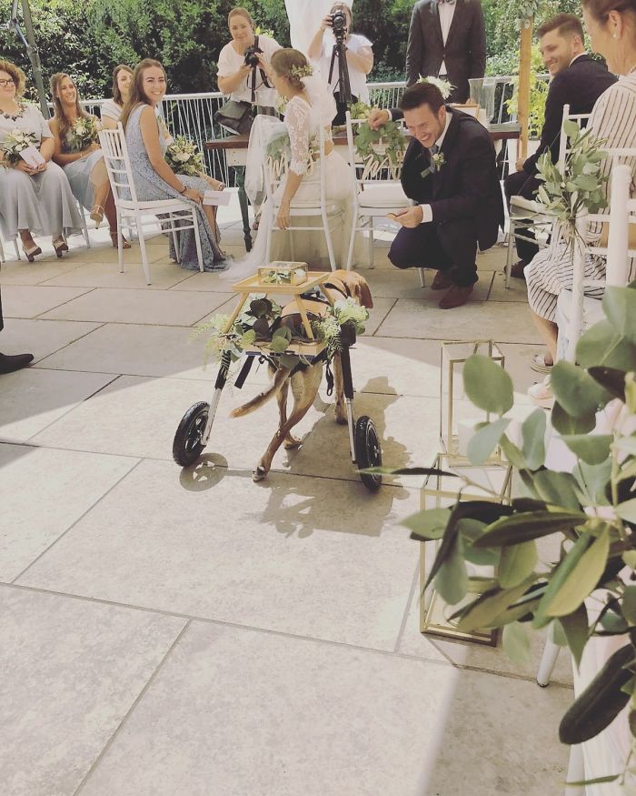 Yesterday I Married My Soulmate And Our Little Boy Delivered The Rings With His Wheelchair