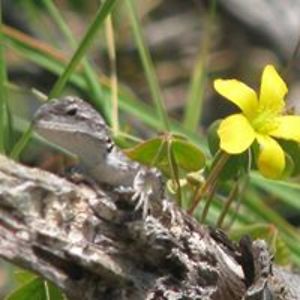 edengardencentre avatar