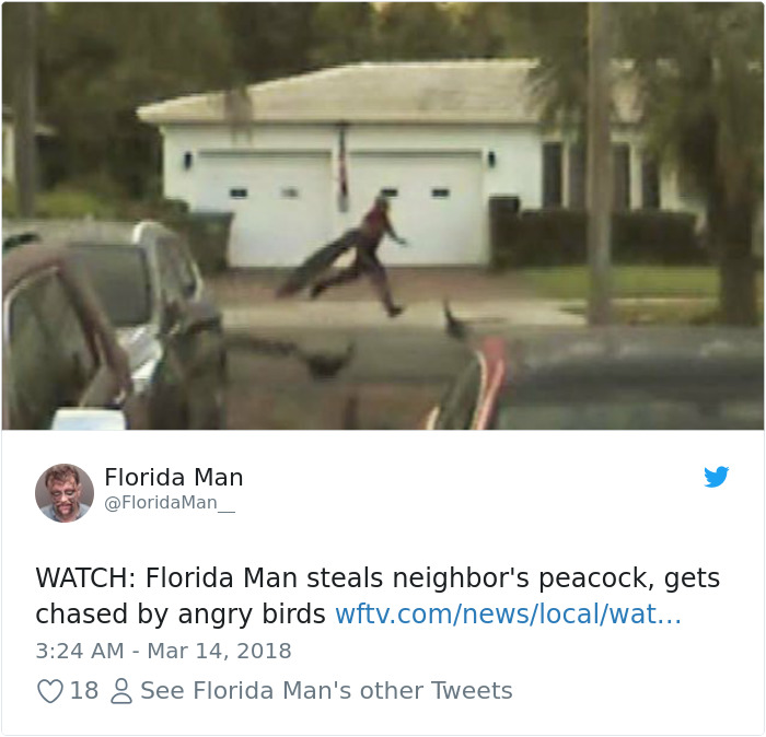 15 Times Florida Man Did Something So Bizarre That We Had To Read The Headings Again