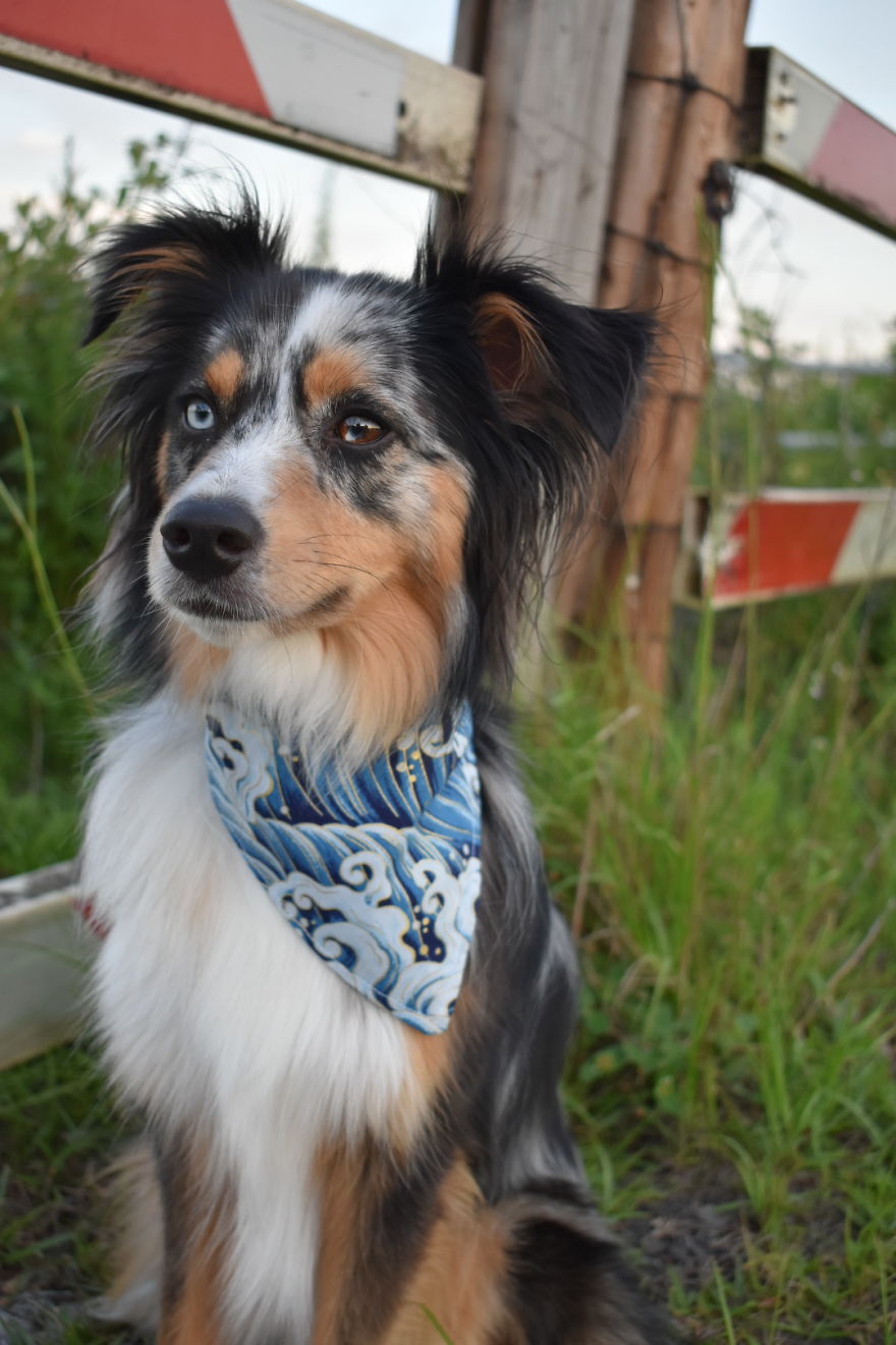 Aussie Dress Up
