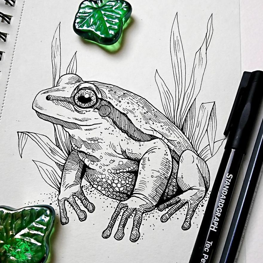 I Create Intricate And Detailed Drawings Of Animals Embedded With Their Natural Habitats