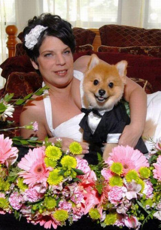 Bad-Wedding-Photos-Bride-Dog-5b3bbfd429dc7.jpg