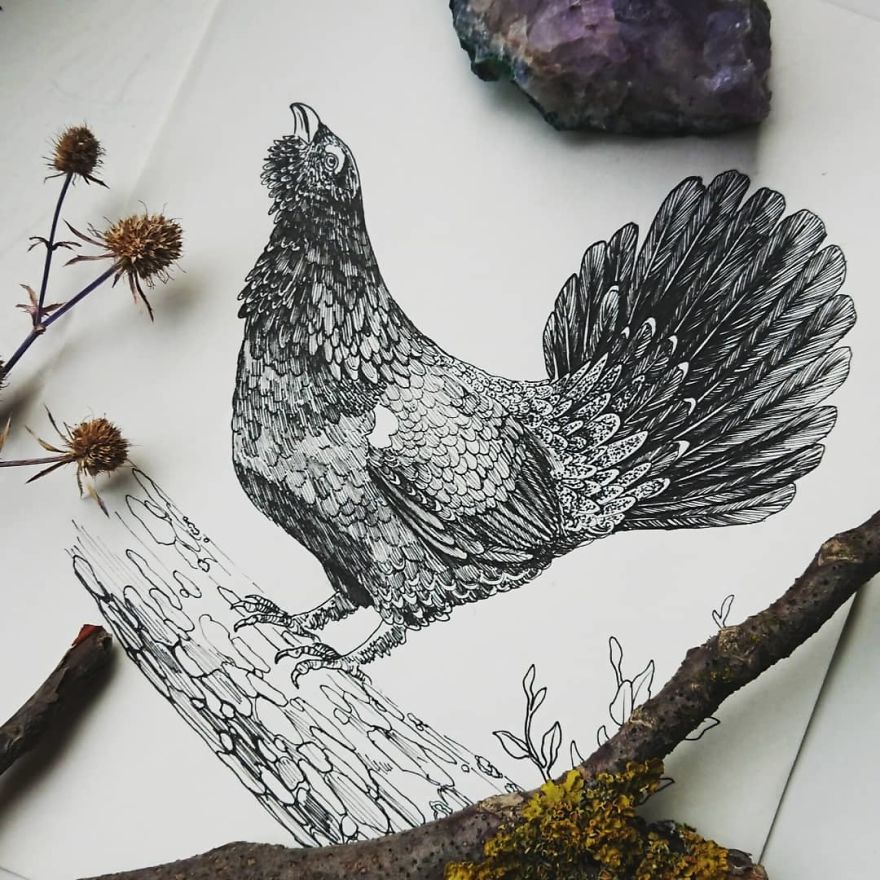 I Create Intricate And Detailed Drawings Of Animals Embedded With Their Natural Habitats