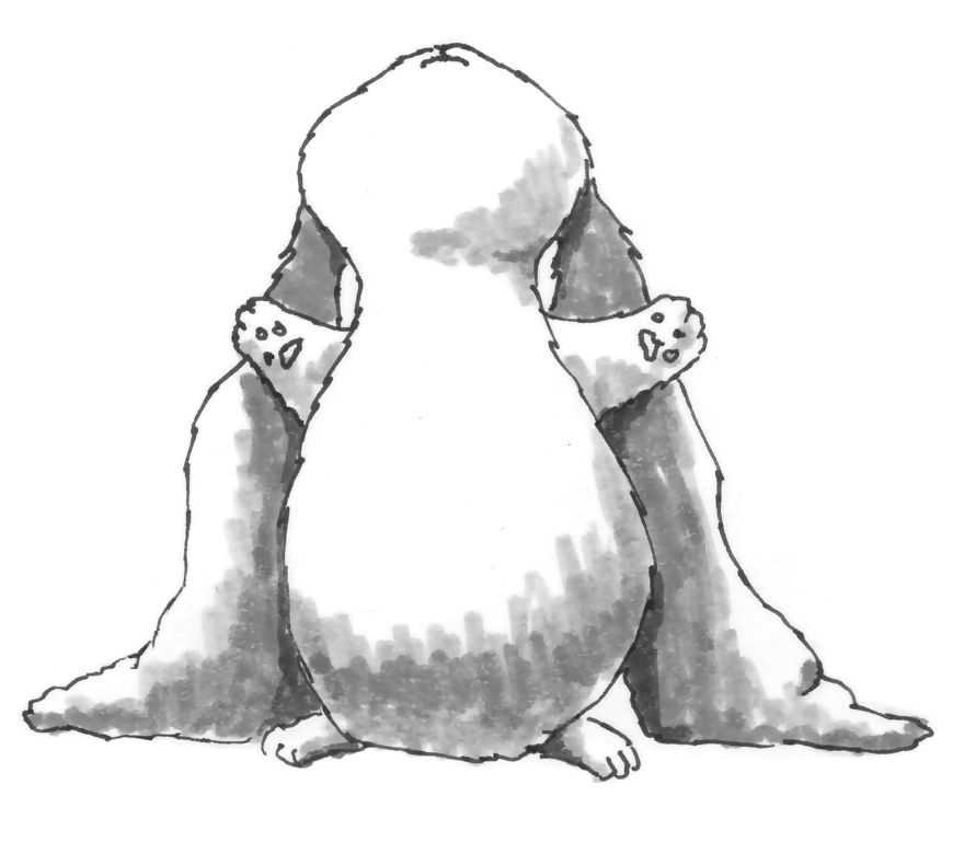 Bored Bunny
