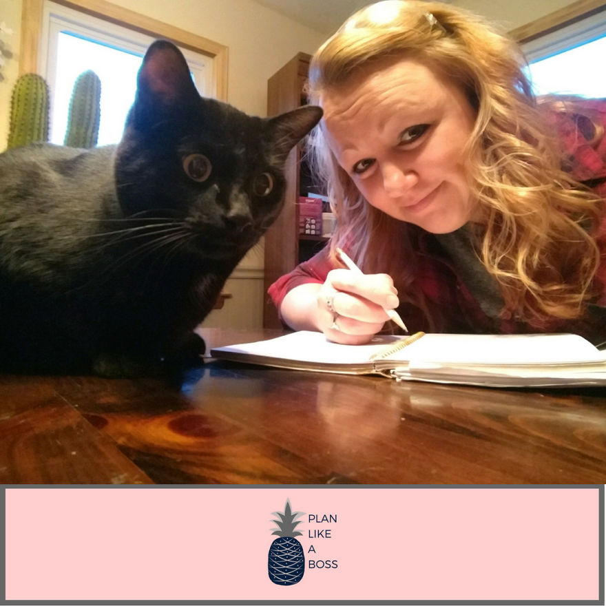 Just A Girl, Her Cat, And A Plan