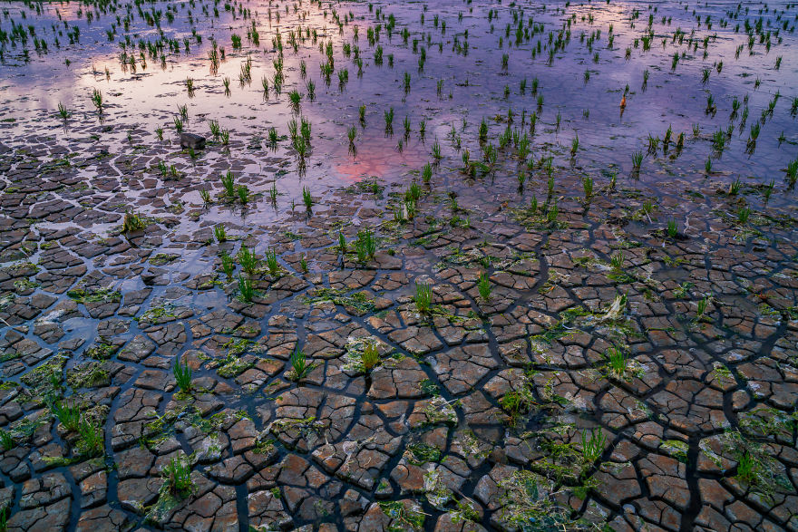 I Captured The Extreme Drought Along The Dutch Coastlines