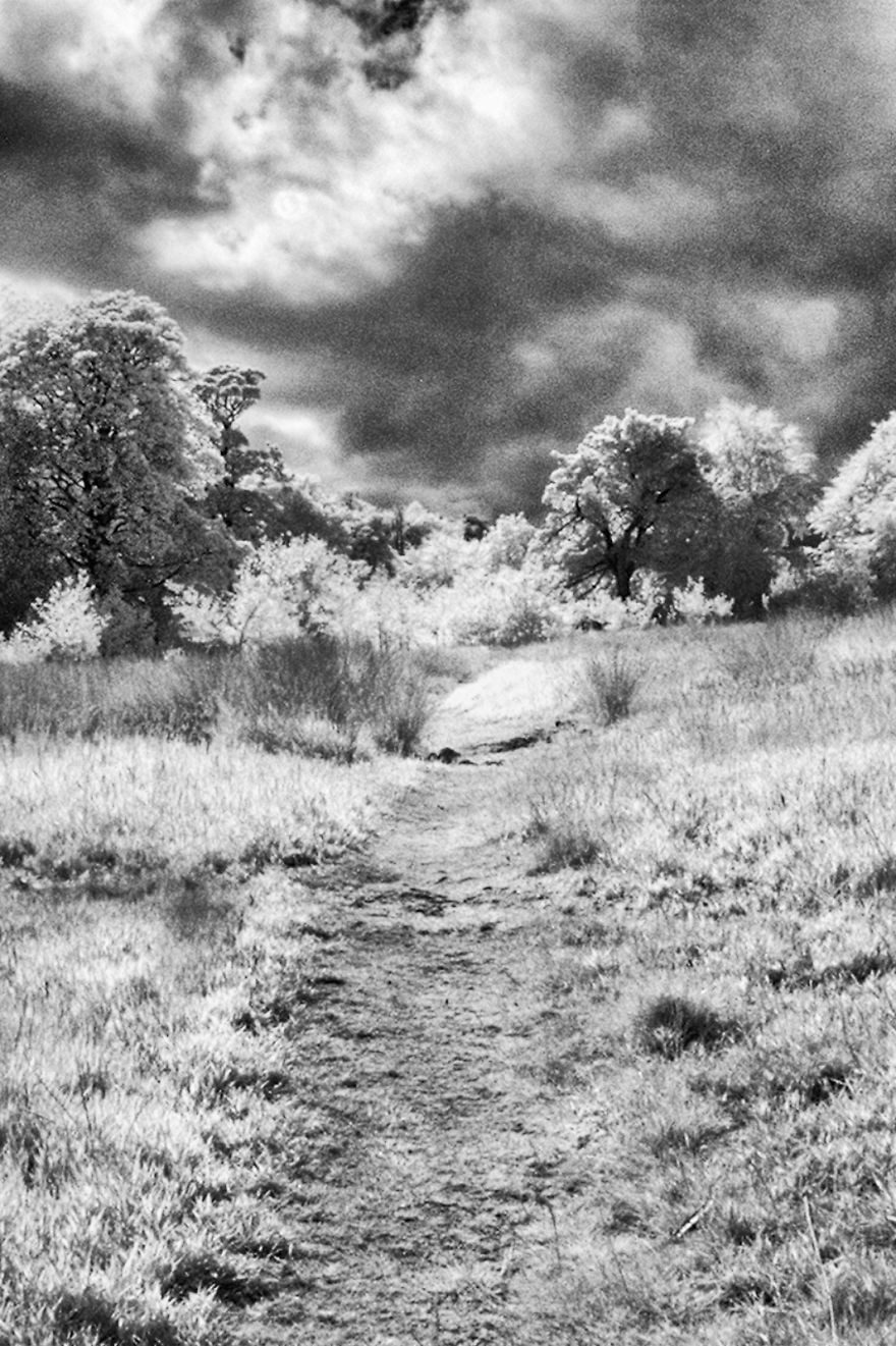 Ir Photography On The Cheap