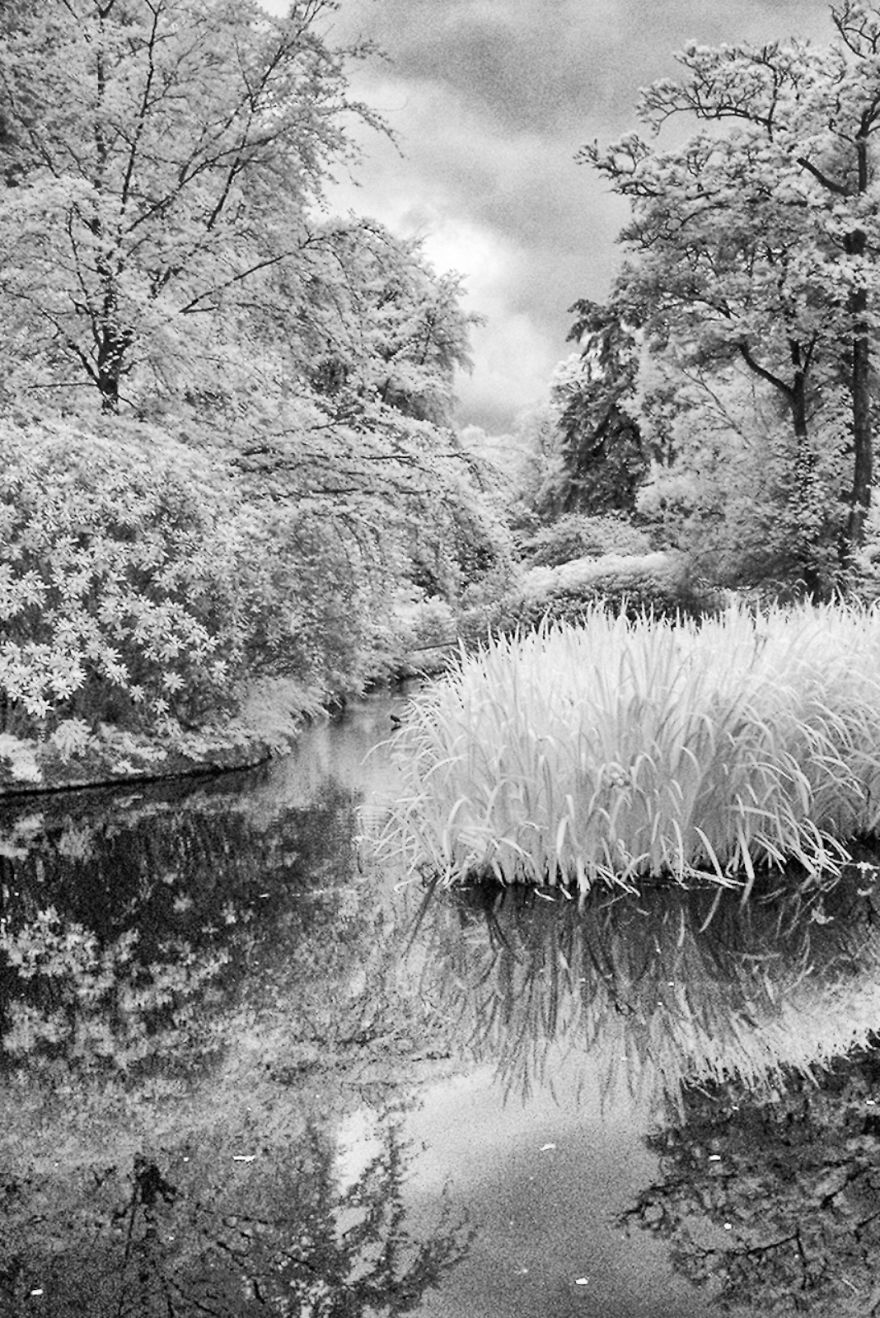 Ir Photography On The Cheap