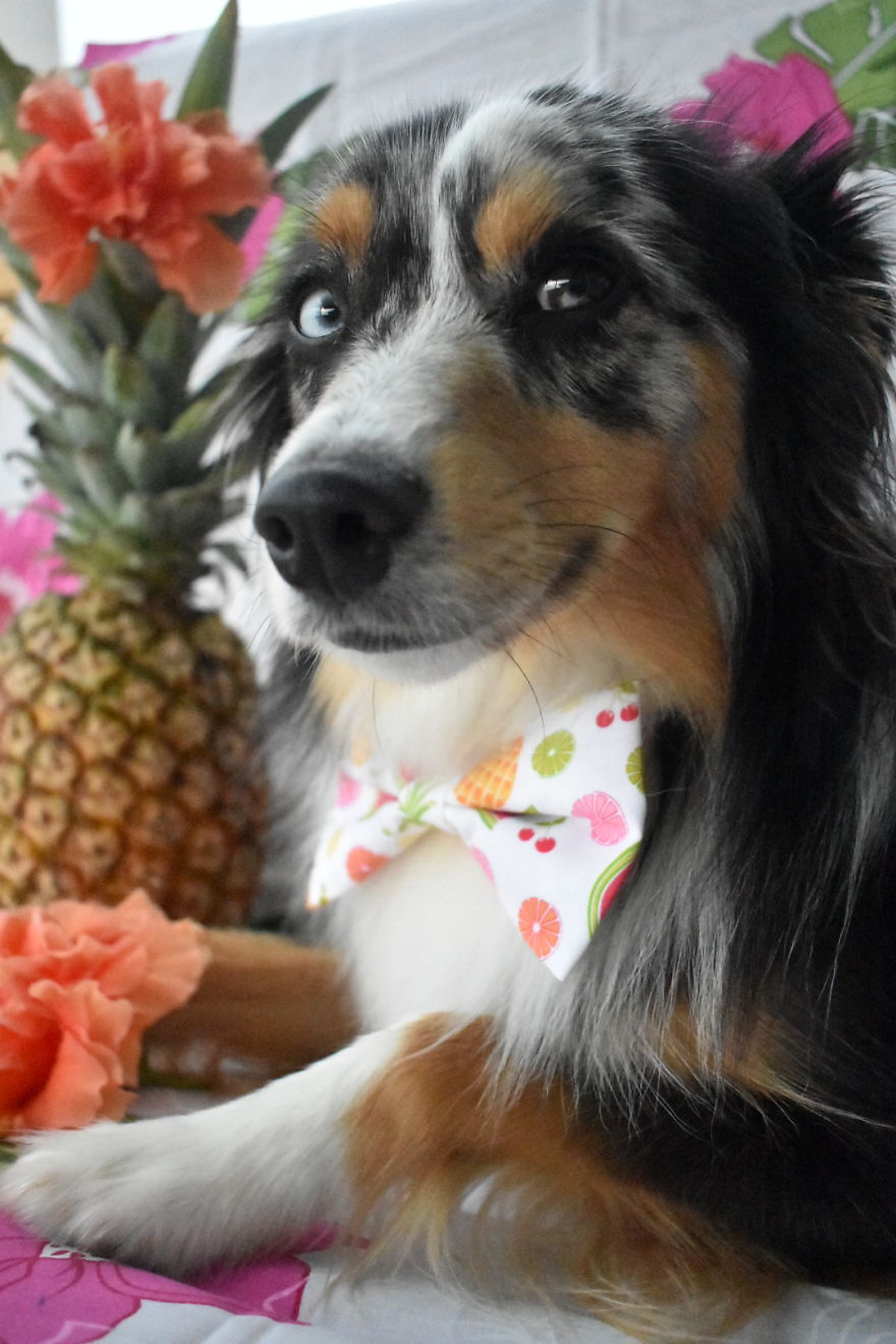 Aussie Dress Up
