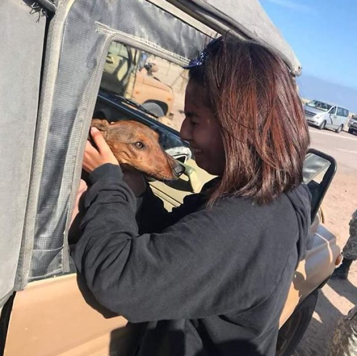 Dog Survives 6 Days In The Desert After Falling Off The Plane