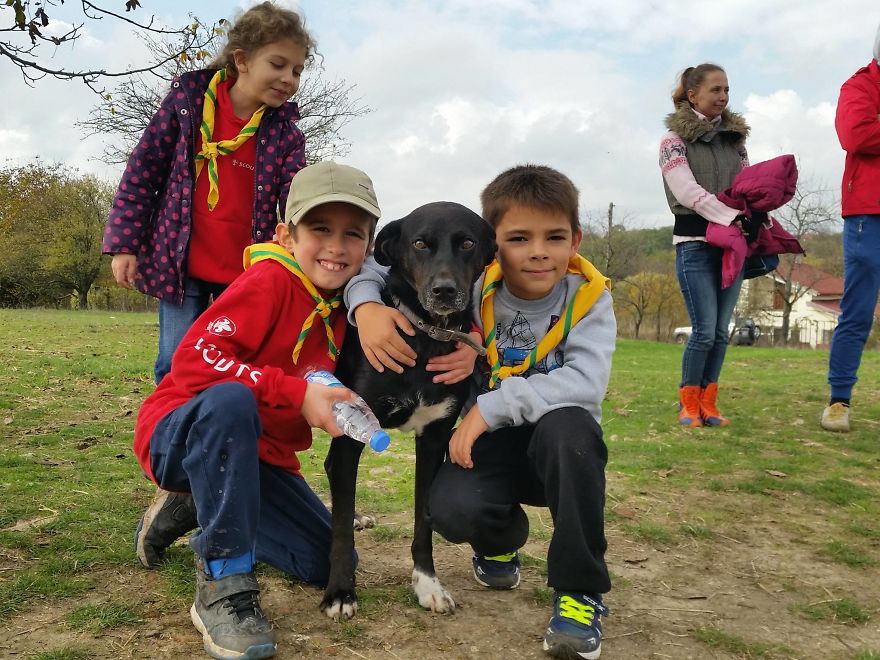 Farm Sanctuary "Four-Legged Friends" In Bulgaria Needs Your Help! 💌