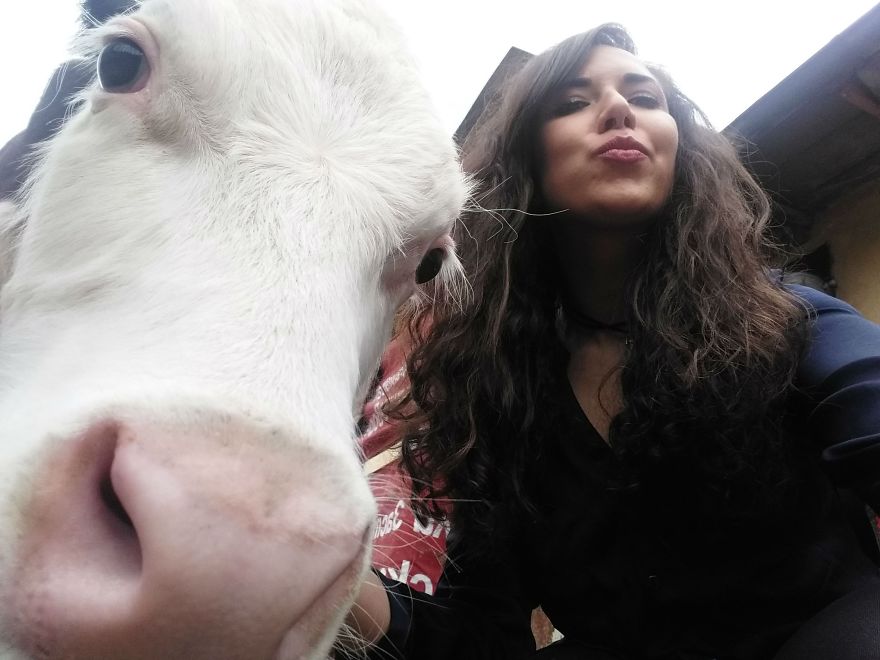 Farm Sanctuary "Four-Legged Friends" In Bulgaria Needs Your Help! 💌