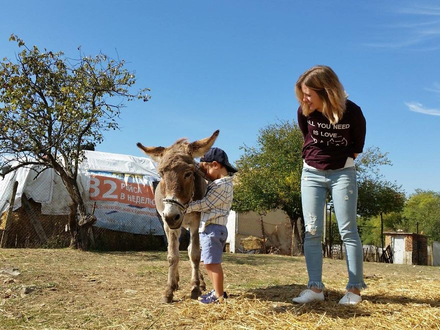 Farm Sanctuary "Four-Legged Friends" In Bulgaria Needs Your Help! 💌