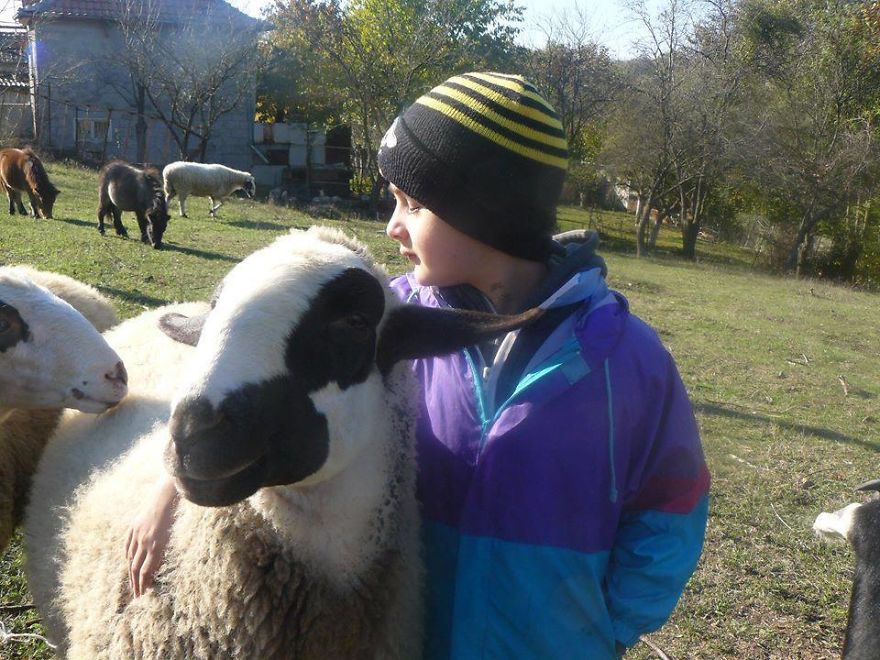 Farm Sanctuary "Four-Legged Friends" In Bulgaria Needs Your Help! 💌