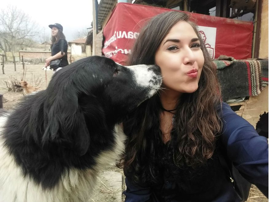 Farm Sanctuary "Four-Legged Friends" In Bulgaria Needs Your Help! 💌