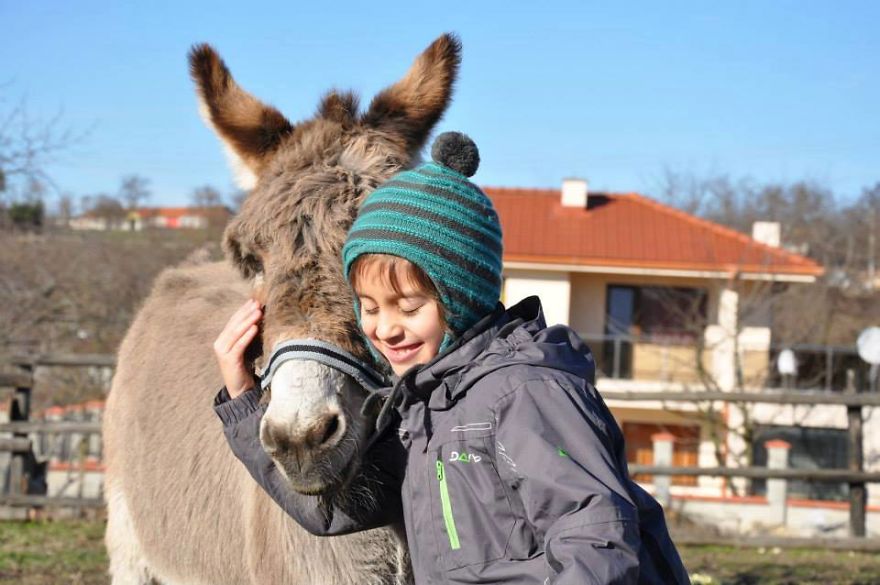 Farm Sanctuary "Four-Legged Friends" In Bulgaria Needs Your Help! 💌