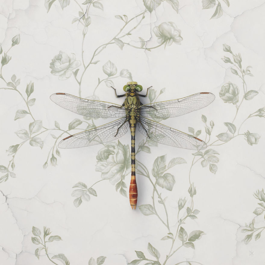 Hyperrealistic Paintings Of Butterflies And Dragonflies