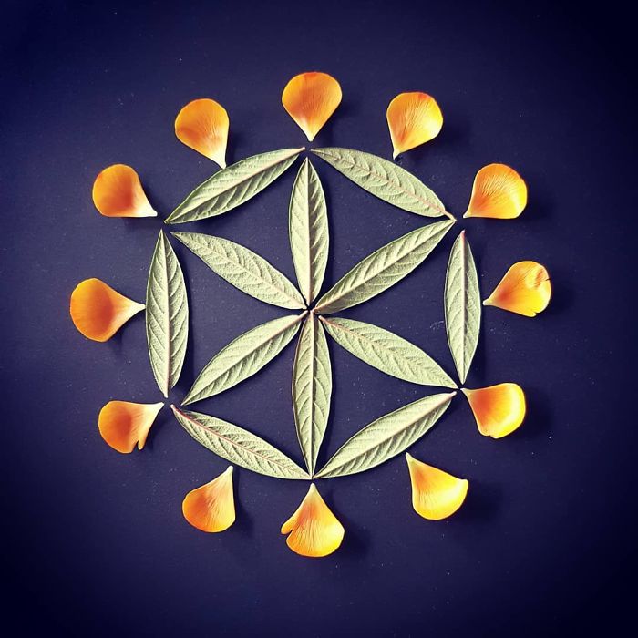 I Create Mandalas Out Of Nature Materials As A Way Of Meditation