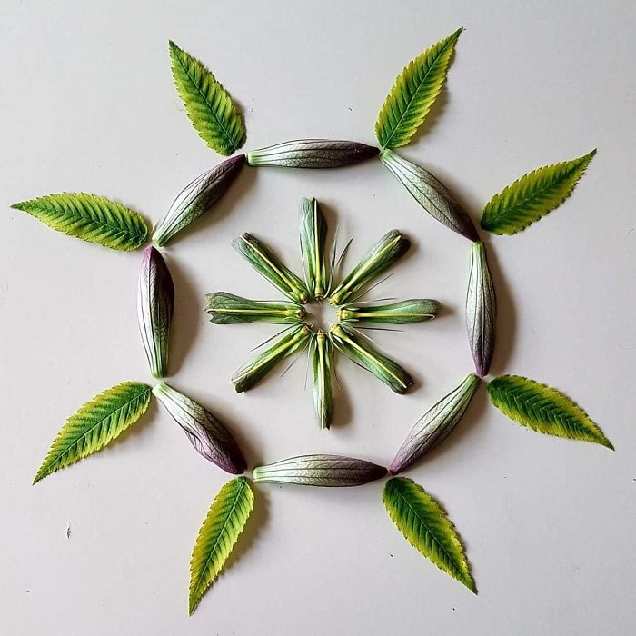 I Create Mandalas Out Of Nature Materials As A Way Of Meditation