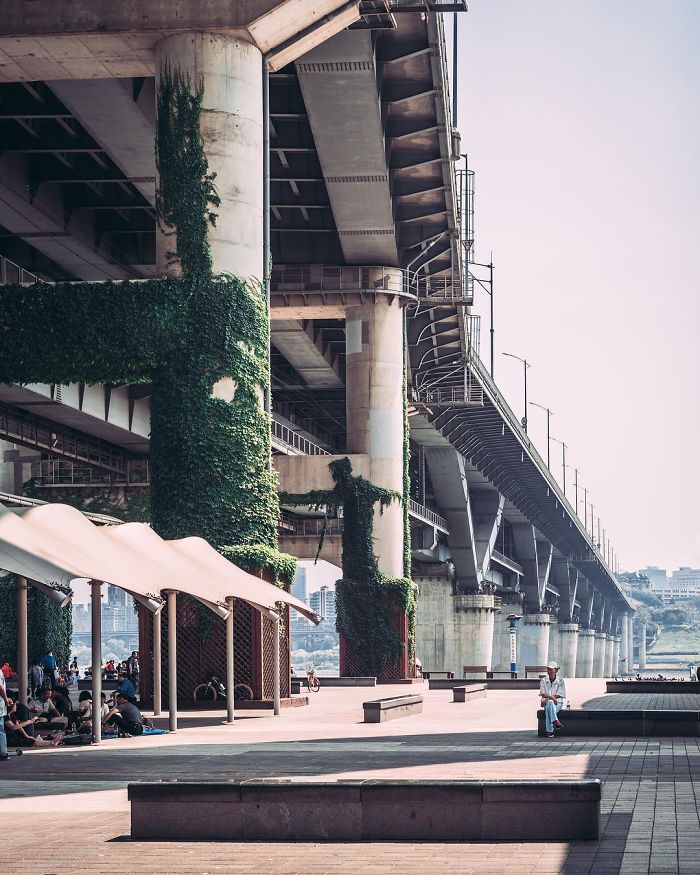 Urban scene under a large Seoul bridge covered in vines with people sitting and walking, showcasing life in Seoul.