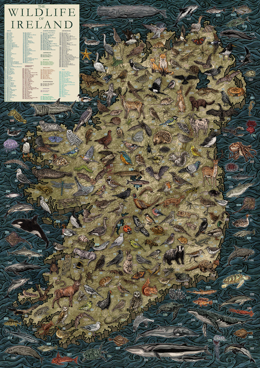 The Wildlife Of Ireland Illustrated Map