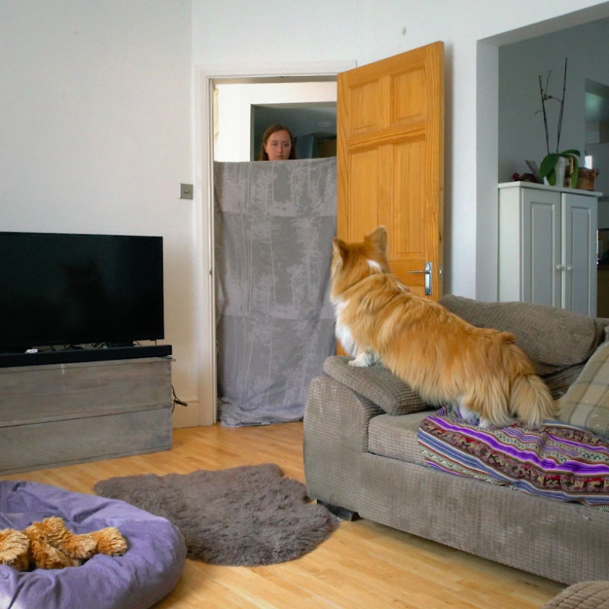 The Most Surprising 'What The Fluff' Challenge You'll Ever See With