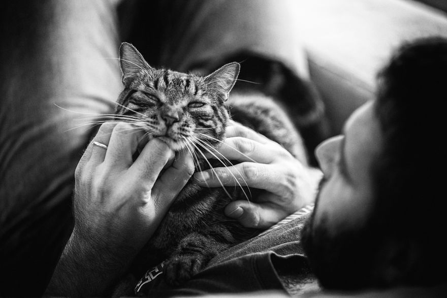 I Photographed A Very Special Crazy Cat Gentleman And His Beloved Pets