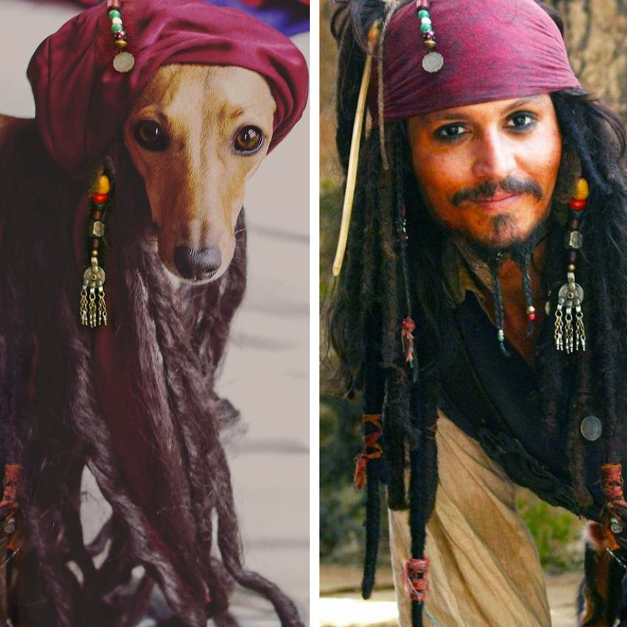 Who Wore It Better: Celebrity Dog Edition!