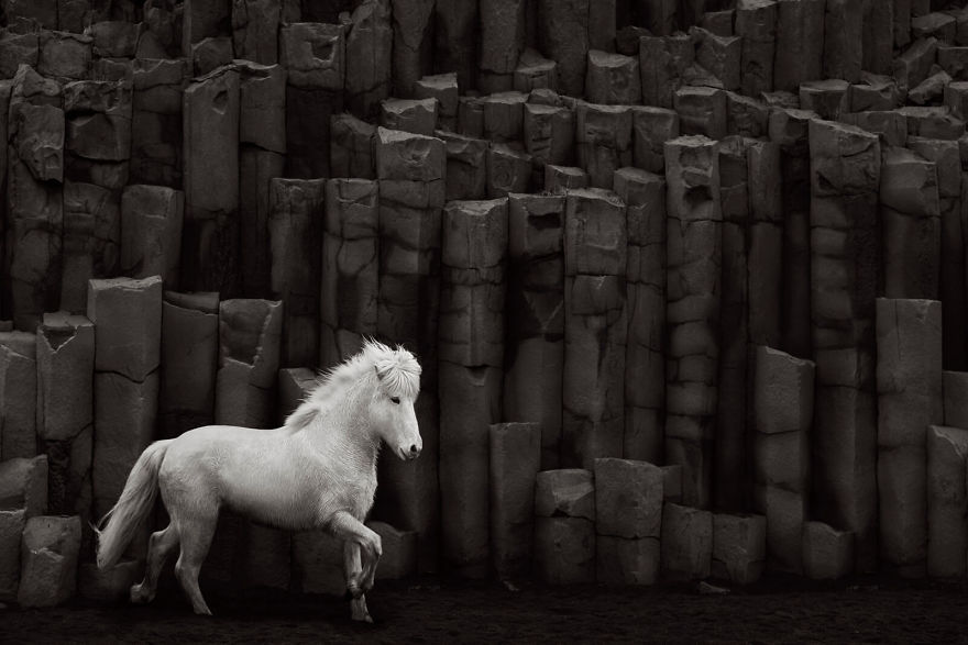 animal photography icelandic horses in the realm of legends drew doggett 23 5b5afbfb7f016  880 - Encantadora série de fotografias de Drew Doggett e os cavalos islandeses
