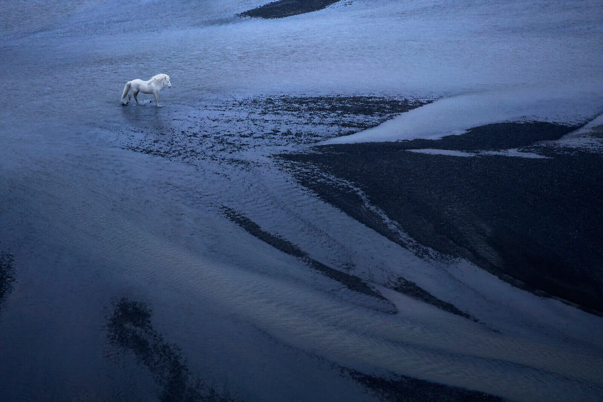 animal photography icelandic horses in the realm of legends drew doggett 29 5b5afc06e4e11  880 - Encantadora série de fotografias de Drew Doggett e os cavalos islandeses