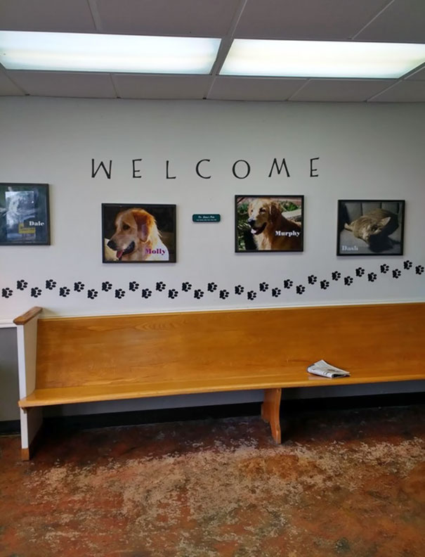 My Vet's Office Mixing Up The 'M' And 'W' In This 'Welcome' Sign