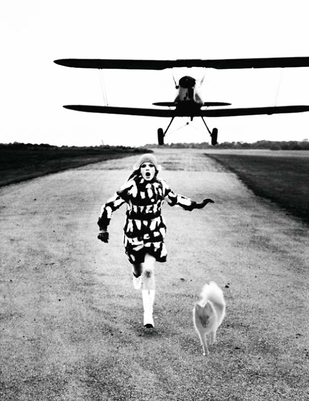 10 Times This Dog Photobombed Iconic Helmut Newton Pics With Hilarious Results (Nsfw)