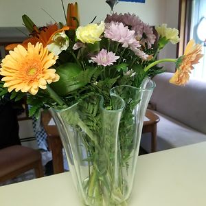 marilynjohnson avatar