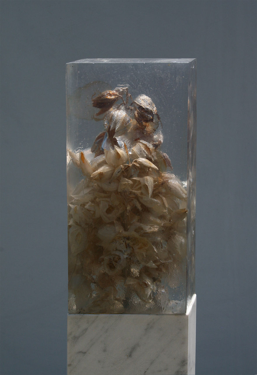 Botanical Elements Immersed In Clear Resin By Giulia Manfredi