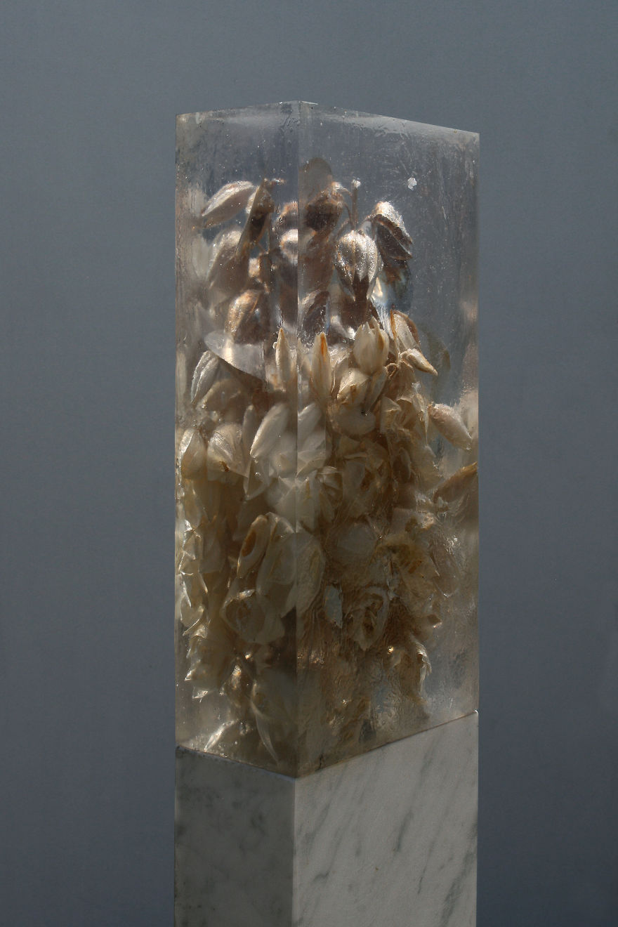 Botanical Elements Immersed In Clear Resin By Giulia Manfredi