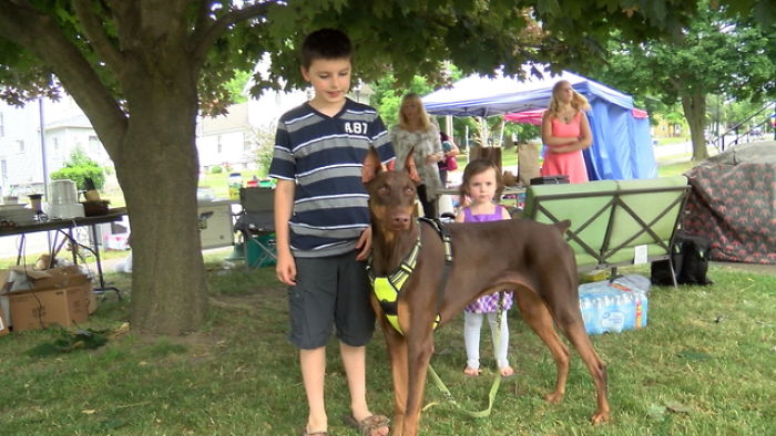 Boy Sells His Toys To Pay For His Service Dog's Treatment