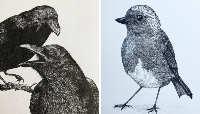 13 Detailed Birds Made With A Single Pen! All Drawn By Bas Geeraets
